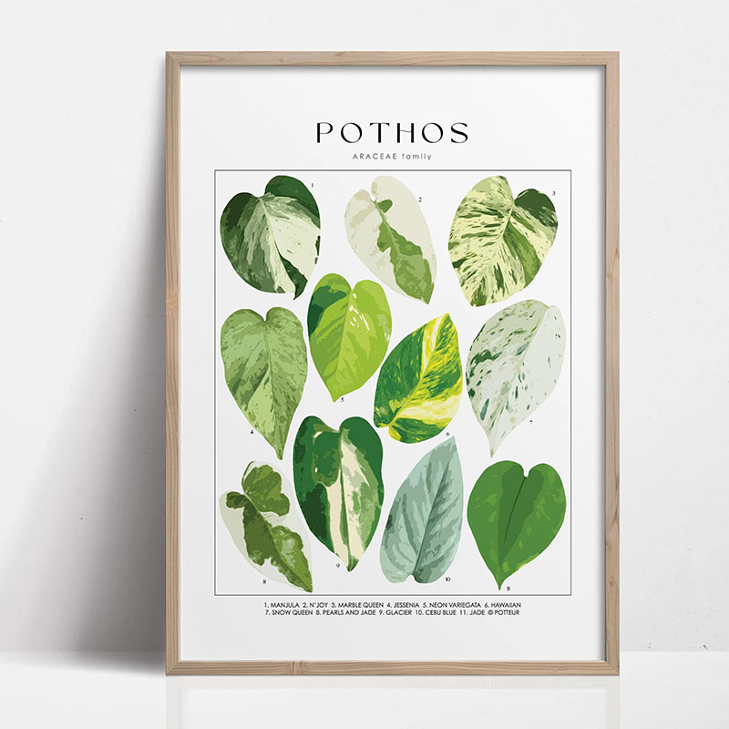 1pc Modern Houseplants Leaves  – Home Office Youtube recenzja i cena