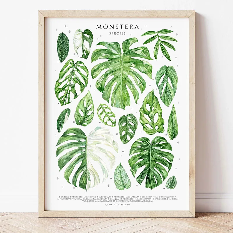 1pc Modern Houseplants Leaves  – Home Office Youtube recenzja i cena