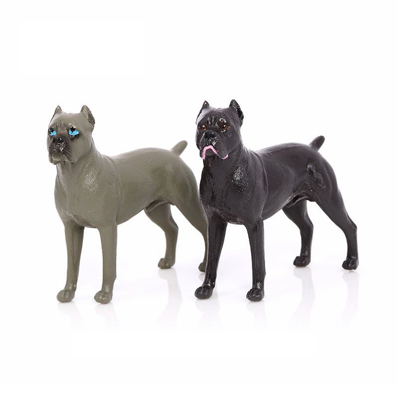 Realistic Miniature Cane Corso – Home Office Freelancer recenzja i cena