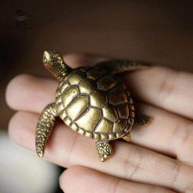 Brass Turtle Small Home Deco O – Home Office Freelancer recenzja i cena